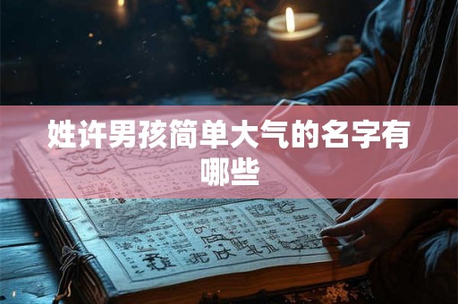 姓许男孩简单大气的名字有哪些