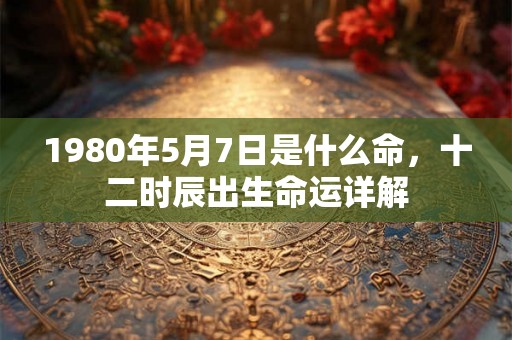 1980年5月7日是什么命，十二时辰出生命运详解