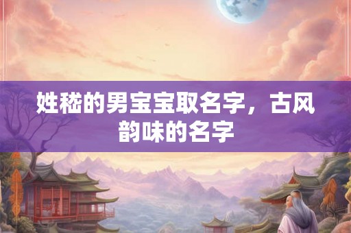 姓嵇的男宝宝取名字，古风韵味的名字