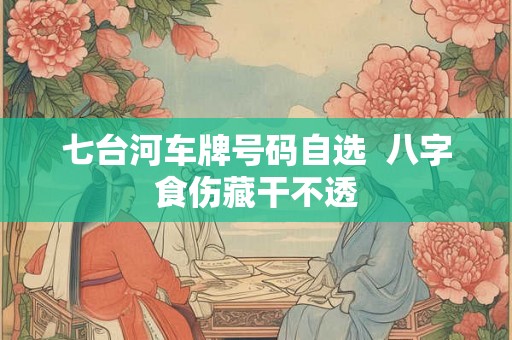 七台河车牌号码自选  八字食伤藏干不透