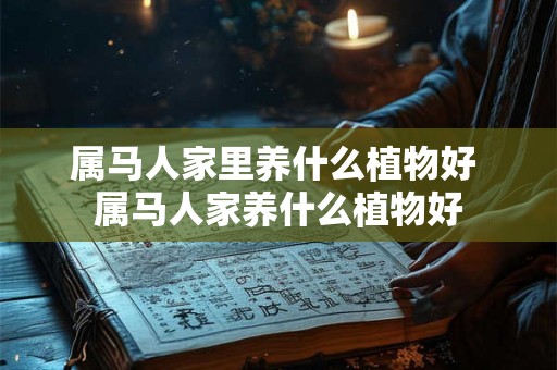 属马人家里养什么植物好 属马人家养什么植物好