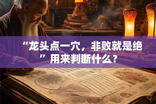 “龙头点一穴，非败就是绝”用来判断什么？