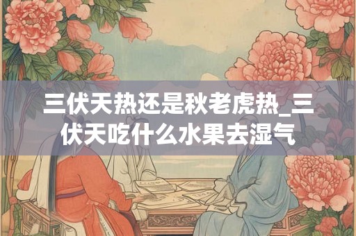 三伏天热还是秋老虎热_三伏天吃什么水果去湿气