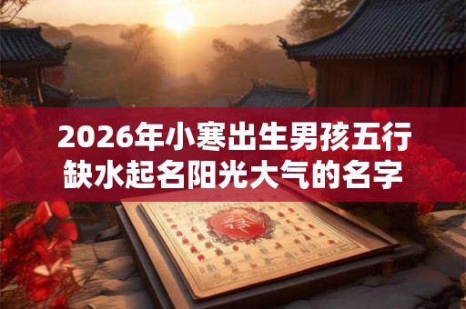 2026年小寒出生男孩五行缺水起名阳光大气的名字