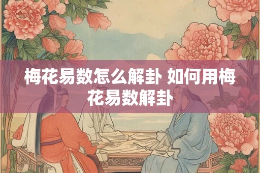 梅花易数怎么解卦 如何用梅花易数解卦
