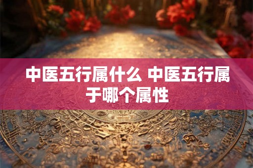 中医五行属什么 中医五行属于哪个属性