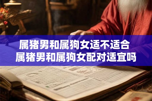 属猪男和属狗女适不适合 属猪男和属狗女配对适宜吗 属猪男和属狗女适不适合 属猪男和属狗女配对适宜吗