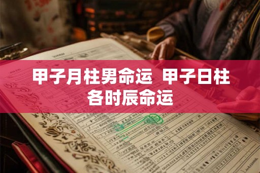 甲子月柱男命运 甲子日柱各时辰命运 甲子月柱男命运 甲子日柱各时辰命运