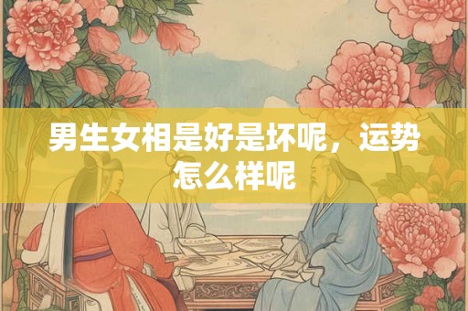 男生女相是好是坏呢，运势怎么样呢