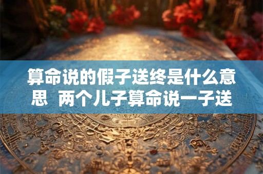 算命说的假子送终是什么意思  两个儿子算命说一子送终