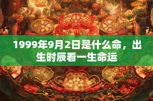 1999年9月2日是什么命，出生时辰看一生命运