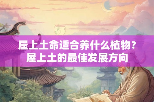屋上土命适合养什么植物？屋上土的最佳发展方向