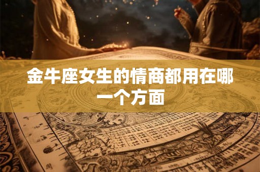 金牛座女生的情商都用在哪一个方面