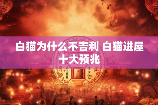 白猫为什么不吉利 白猫进屋十大预兆