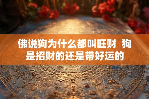 佛说狗为什么都叫旺财  狗是招财的还是带好运的