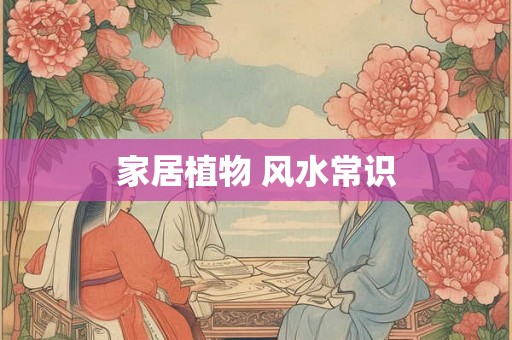 家居植物 风水常识