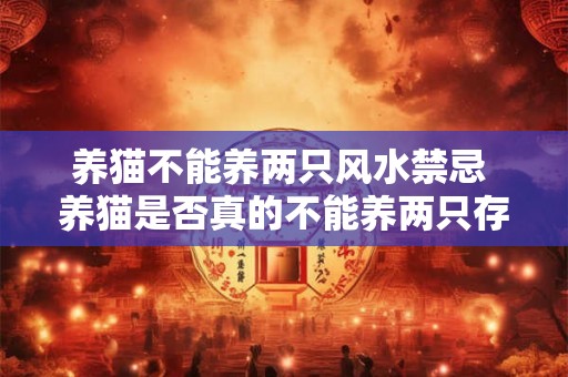 养猫不能养两只风水禁忌 养猫是否真的不能养两只存在哪些风水禁忌