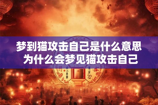 梦到猫攻击自己是什么意思 为什么会梦见猫攻击自己意味着什么