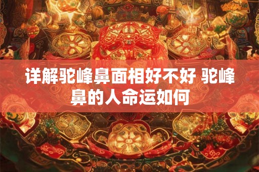 详解驼峰鼻面相好不好 驼峰鼻的人命运如何