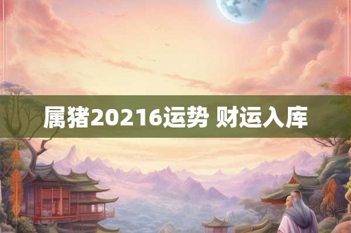 属猪20216运势 财运入库