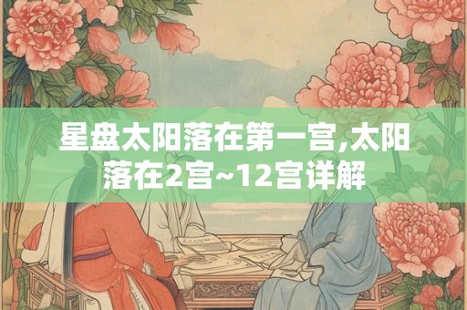 星盘太阳落在第一宫,太阳落在2宫~12宫详解