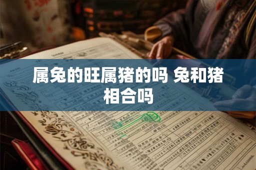 属兔的旺属猪的吗 兔和猪相合吗
