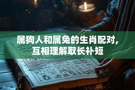 属狗人和属兔的生肖配对,互相理解取长补短