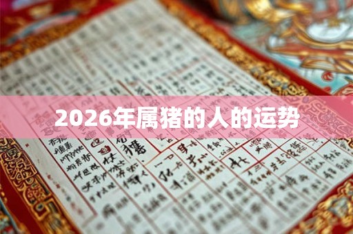 2026年属猪的人的运势