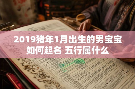 2019猪年1月出生的男宝宝如何起名 五行属什么 2019猪年1月出生的男宝宝如何起名 五行属什么