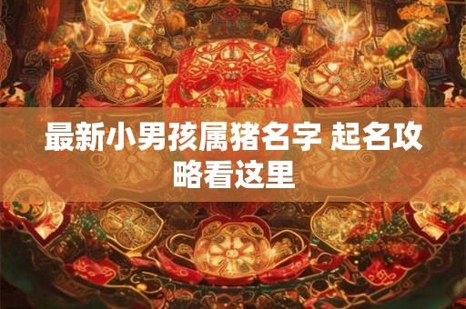最新小男孩属猪名字 起名攻略看这里