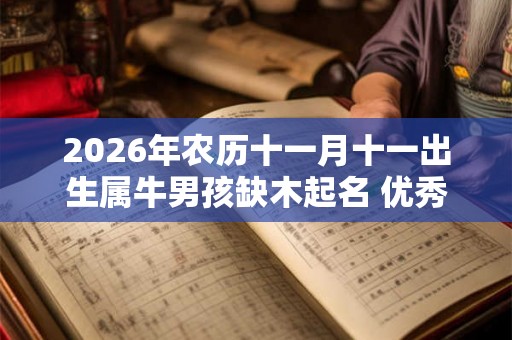 2026年农历十一月十一出生属牛男孩缺木起名 优秀不一般男孩名