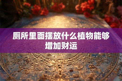 厕所里面摆放什么植物能够增加财运