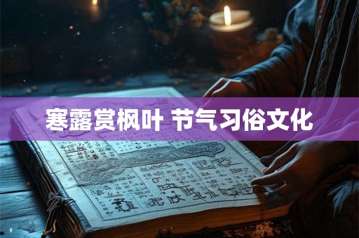 寒露赏枫叶 节气习俗文化