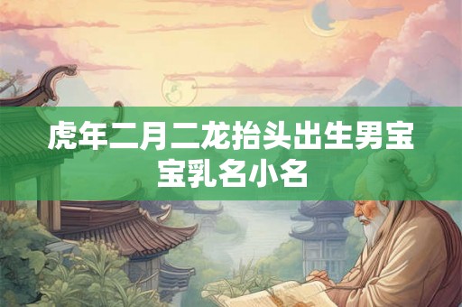 虎年二月二龙抬头出生男宝宝乳名小名