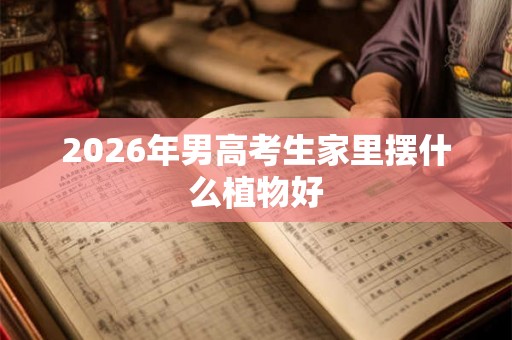 2026年男高考生家里摆什么植物好