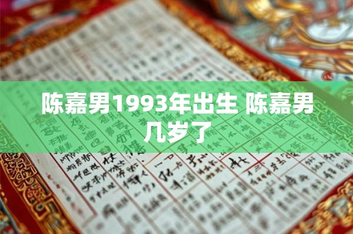 陈嘉男1993年出生 陈嘉男几岁了