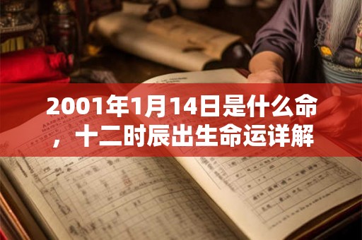 2001年1月14日是什么命，十二时辰出生命运详解