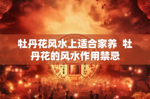 牡丹花风水上适合家养 牡丹花的风水作用禁忌 牡丹花风水上适合家养 牡丹花的风水作用禁忌