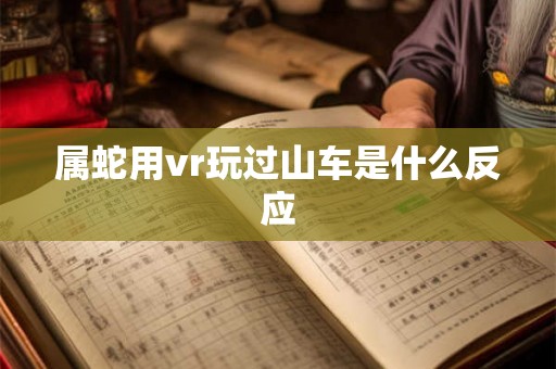 属蛇用vr玩过山车是什么反应