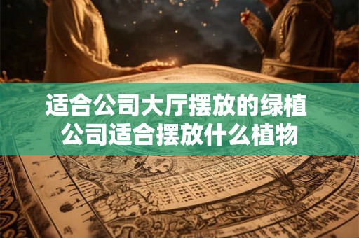 适合公司大厅摆放的绿植 公司适合摆放什么植物