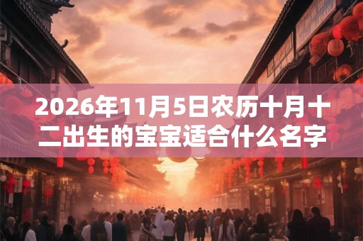 2026年11月5日农历十月十二出生的宝宝适合什么名字