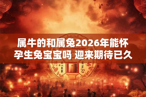 属牛的和属兔2026年能怀孕生兔宝宝吗 迎来期待已久的孩子