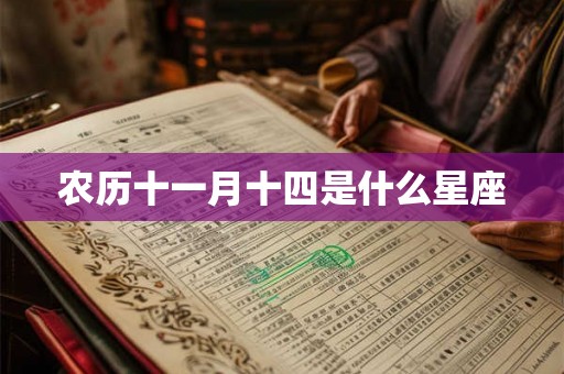 农历十一月十四是什么星座