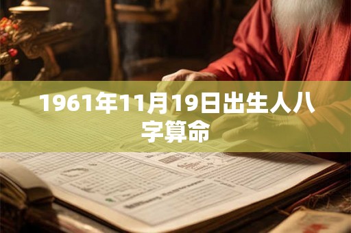 1961年11月19日出生人八字算命