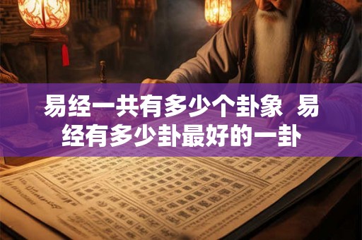 易经一共有多少个卦象  易经有多少卦最好的一卦