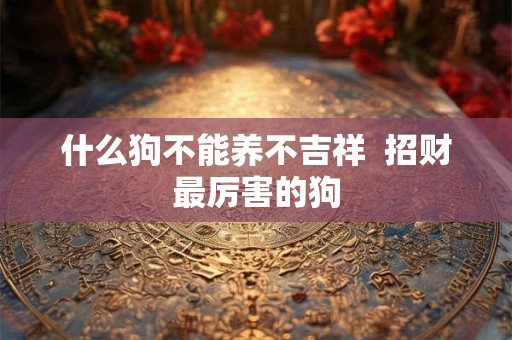 什么狗不能养不吉祥 招财最厉害的狗 什么狗不能养不吉祥 招财最厉害的狗