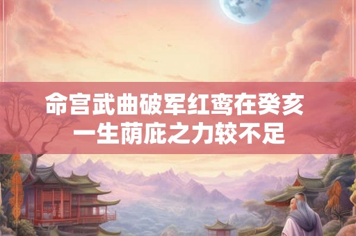 命宫武曲破军红鸾在癸亥 一生荫庇之力较不足