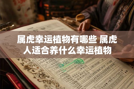 属虎幸运植物有哪些 属虎人适合养什么幸运植物