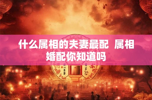 什么属相的夫妻最配  属相婚配你知道吗