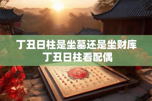 丁丑日柱是坐墓还是坐财库 丁丑日柱看配偶 丁丑日柱是坐墓还是坐财库 丁丑日柱看配偶